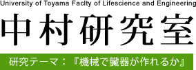 中村研究室 研究テーマ：『機械で臓器が作れるか』 University of Toyama Faclty of Lifescience and Engineering