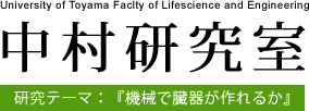 中村研究室 研究テーマ:『機械で臓器が作れるか』 University of Toyama Faclty of Lifescience and Engineering